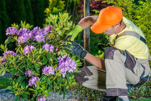 Team preparing for garden maintenance on a residential property