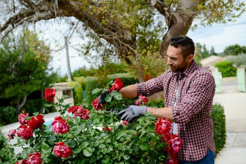 Trainer demonstrating safe equipment use to gardening staff