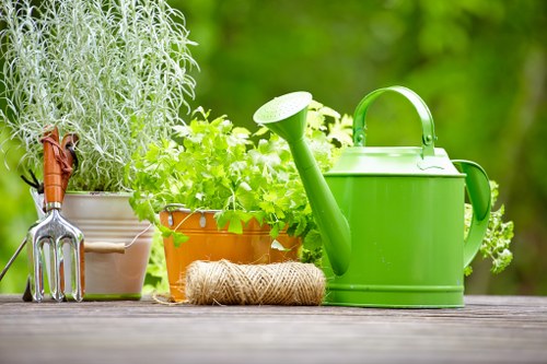 Choosing the right tree service provider